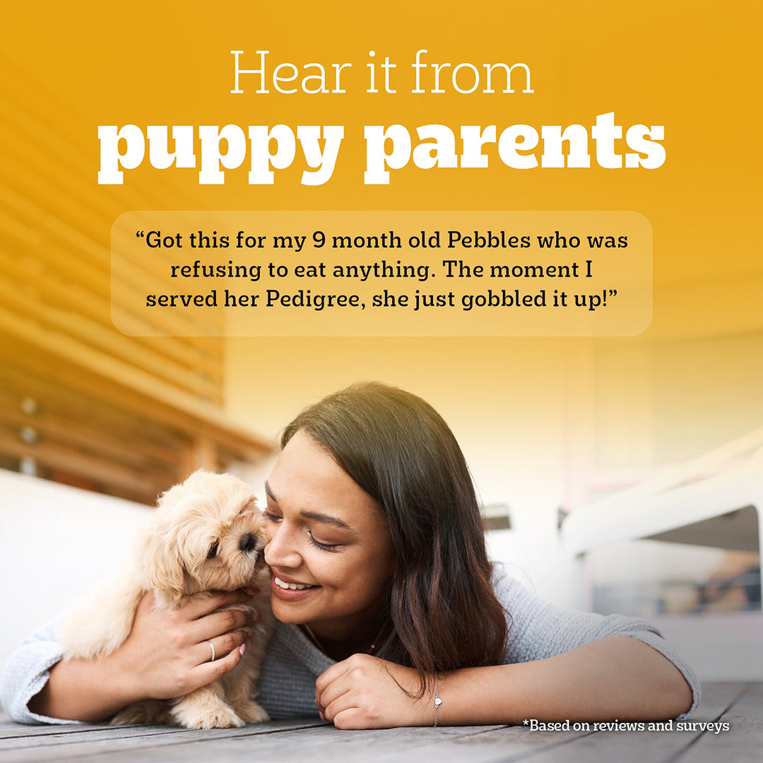 Pedigree Chicken Chunks in Gravy Wet Dog Food - All Breed Puppy