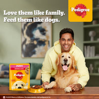 Pedigree Chicken Chunks in Gravy Wet Dog Food - All Breed Puppy