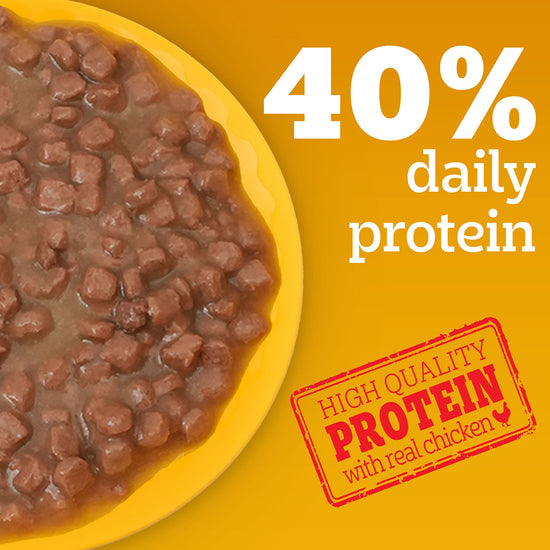 Pedigree Chicken Chunks in Gravy Wet Dog Food - All Breed Puppy