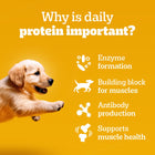 Pedigree Chicken Chunks in Gravy Wet Dog Food - All Breed Puppy