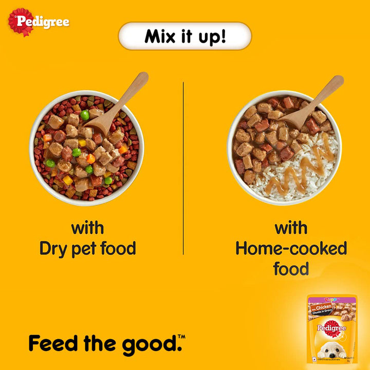 Pedigree Chicken Chunks in Gravy Wet Dog Food - All Breed Puppy