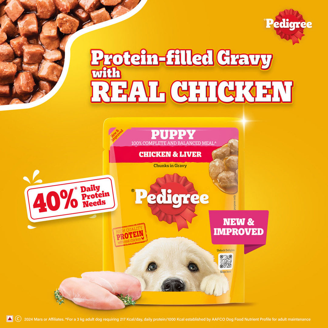Pedigree Chicken Chunks in Gravy Wet Dog Food - All Breed Puppy