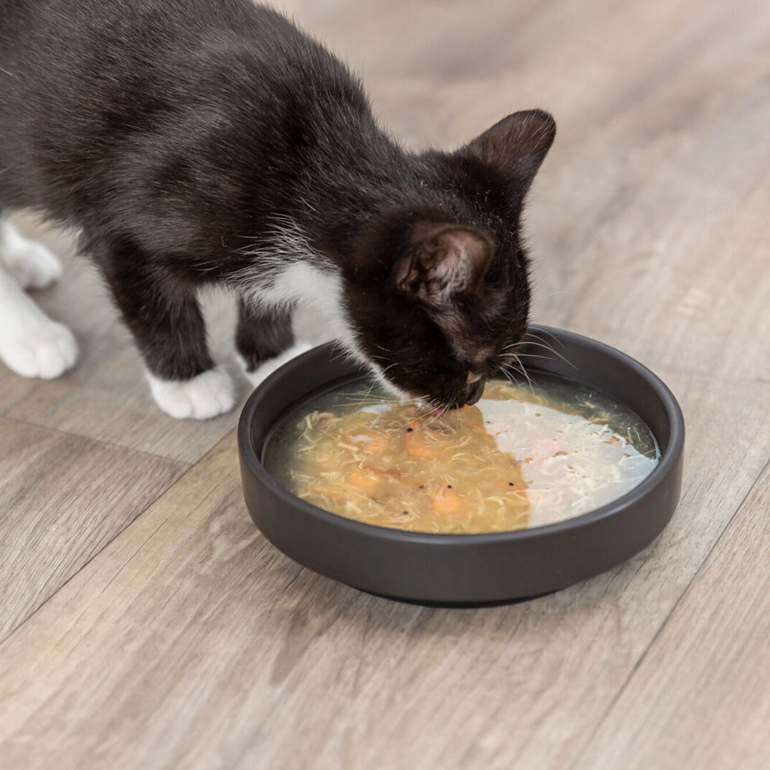 Trixie Kittis Salmon Soup for Cats - 4 x 80 g