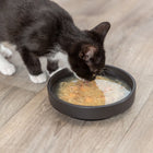 Trixie Kittis Salmon Soup for Cats - 4 x 80 g