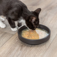 Trixie Kittis Salmon Soup for Cats - 4 x 80 g
