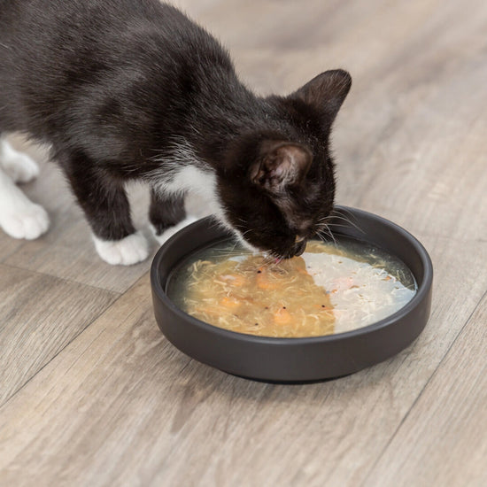 Trixie Kittis Salmon Soup for Cats - 4 x 80 g