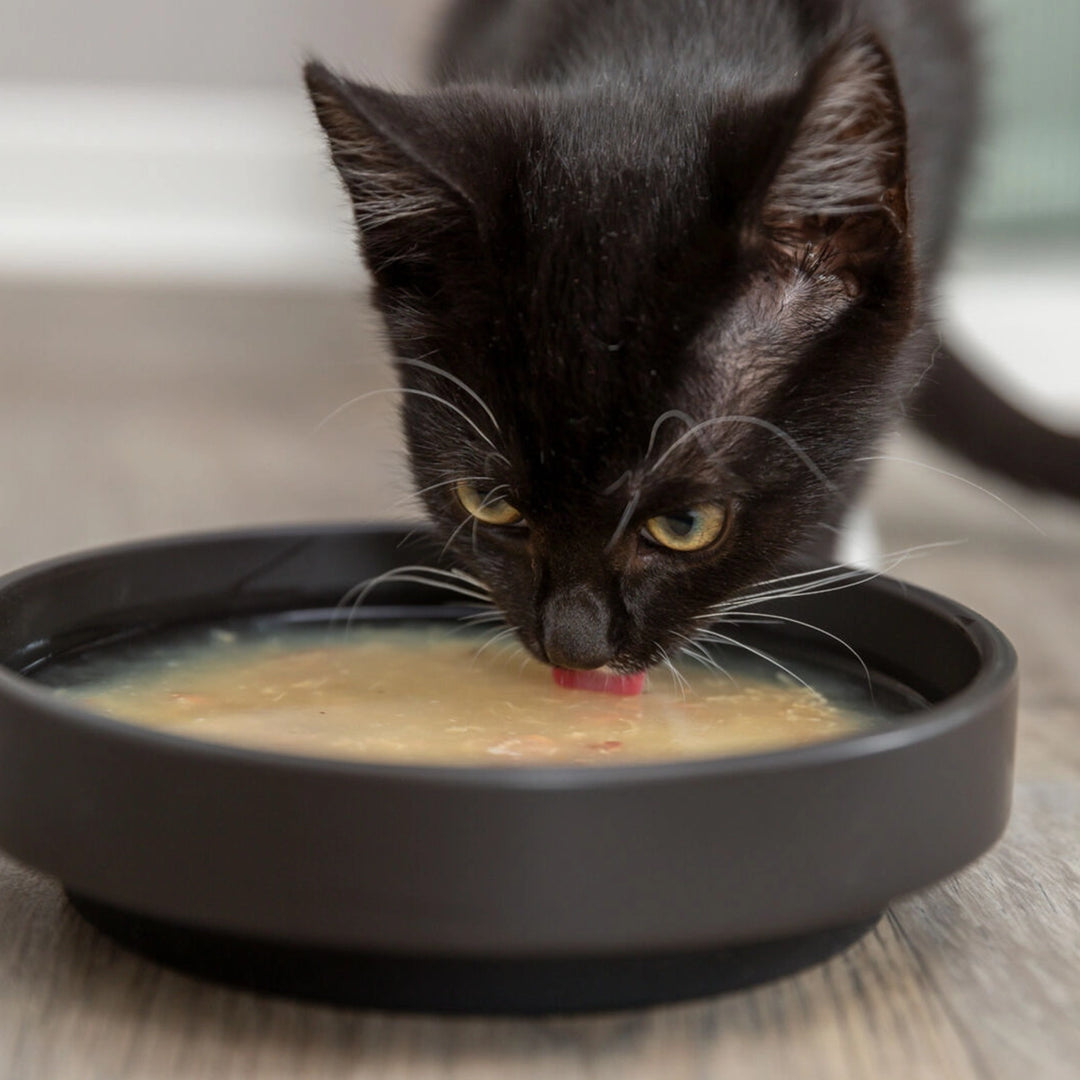 Trixie Kittis Salmon Soup for Cats - 4 x 80 g