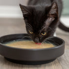 Trixie Kittis Salmon Soup for Cats - 4 x 80 g
