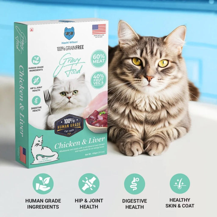 Hachi Wilson Chicken & Liver Premium Gravy Cat Food - 100g
