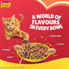 Zigly Purina Friskies cat food bowl with chicken, lamb, turkey, asparagus flavors and orange tabby cat