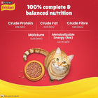 Purina Friskies cat food nutrition facts with orange tabby cat and bowl of kibble on red zigly background