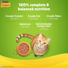 Purina Friskies cat food nutrition facts with orange tabby cat and kibble bowl on green background zigly