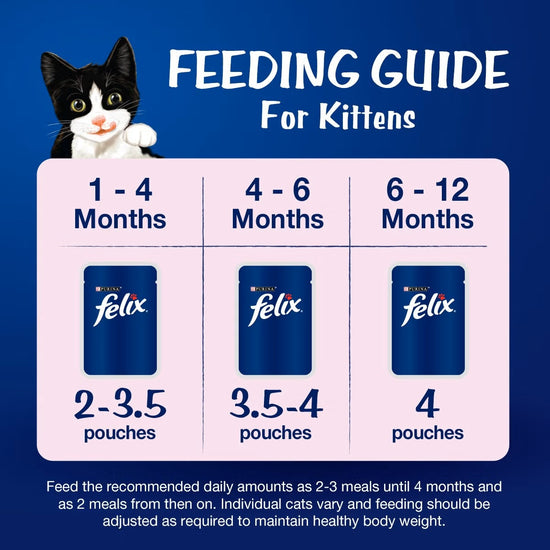 Felix Chicken with Jelly Kitten Cat Wet Food - 85g