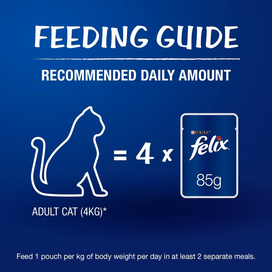 Felix Chicken with Jelly Adult Cat Wet Food - 85g
