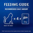 Felix Salmon with Jelly Adult Cat Wet Food - 85g
