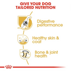 Royal Canin German Shepherd Adult food benefits for digestion, skin, coat, and joints at zigly