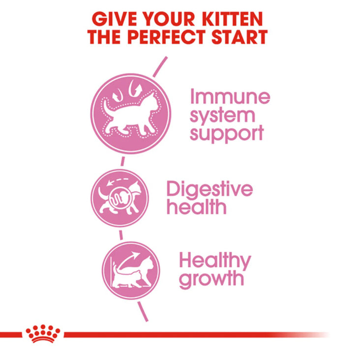 Royal Canin Premium Kitten 36 Dry Cat Food - All Breed