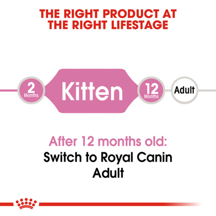 Royal Canin Premium Kitten 36 Dry Cat Food - All Breed