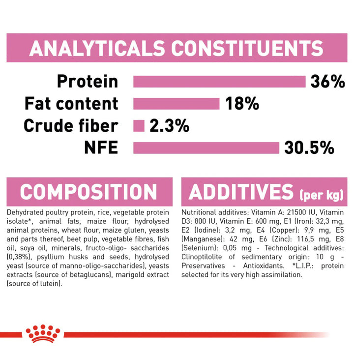 Royal Canin Premium Kitten 36 Dry Cat Food - All Breed