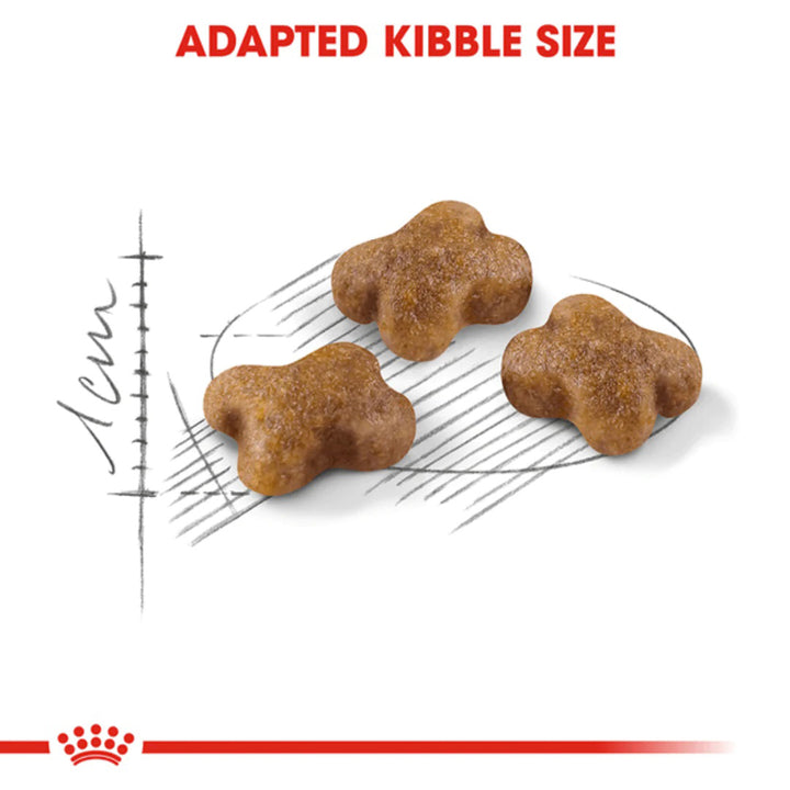 Royal Canin Premium Kitten 36 Dry Cat Food - All Breed