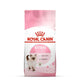 Royal Canin Premium Kitten 36 Dry Cat Food - All Breed
