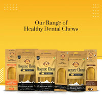 Dogsee Chew Large Bars Long-Lasting Dental Chews for Large Dogs  130g - Zigly