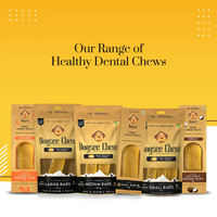 Dogsee Chew Medium Bars Long-Lasting Dental Chews for Medium Dogs – 140g