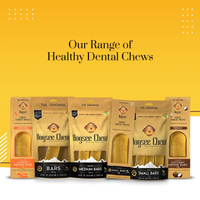 Dogsee Chew Small Bars Long-Lasting Dental Chews for Small Dogs – 100g