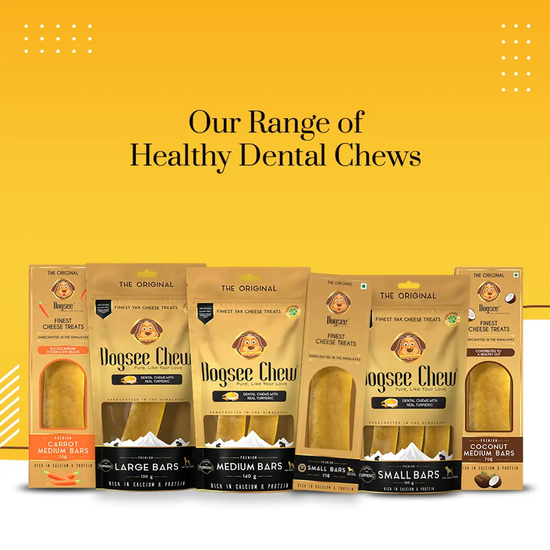 dogsee-chew-turmeric-large-bars-long-lasting-dental-chews-for-large-dogs-130g