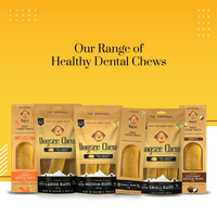 Dogsee Chew Turmeric Large Bars Long-Lasting Dental Chews for Large Dogs – 130g