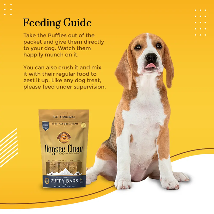 Dogsee Chew Puffy Bars Soft Dental Treat for Senior Dogs – 70g