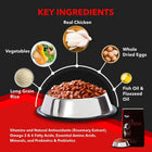 Drools Focus Starter All Breed Puppy Dry Food - 12kg - Zigly