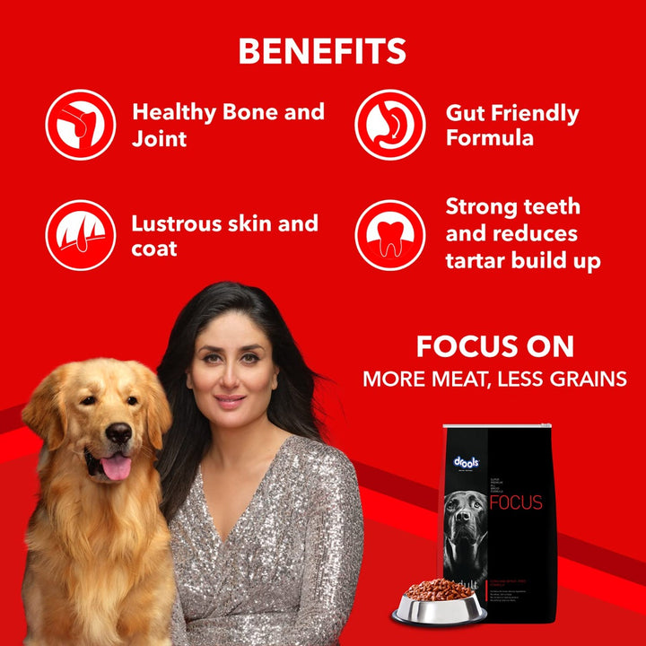 Drools Focus All Breed Adult Dry Dog Food - 12kg