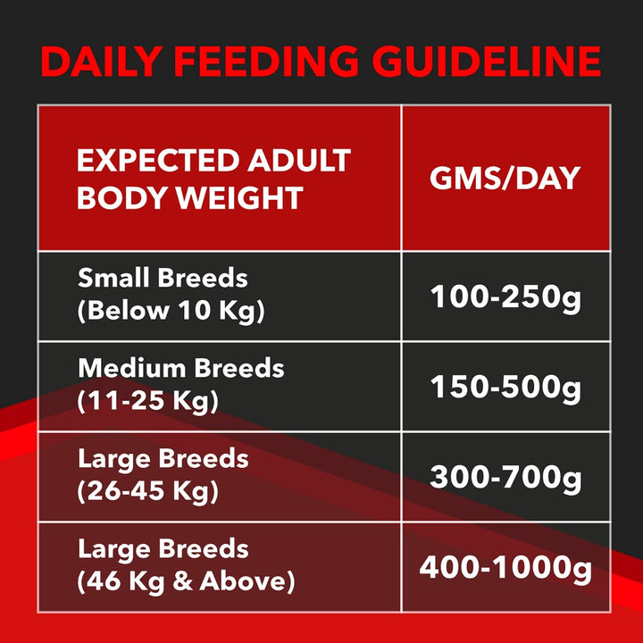 Drools Focus All Breed Adult Dry Dog Food - 12kg