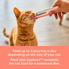 Zigly ginger cat licking Applaws treat from tube, indoor, pet food nutrition focus