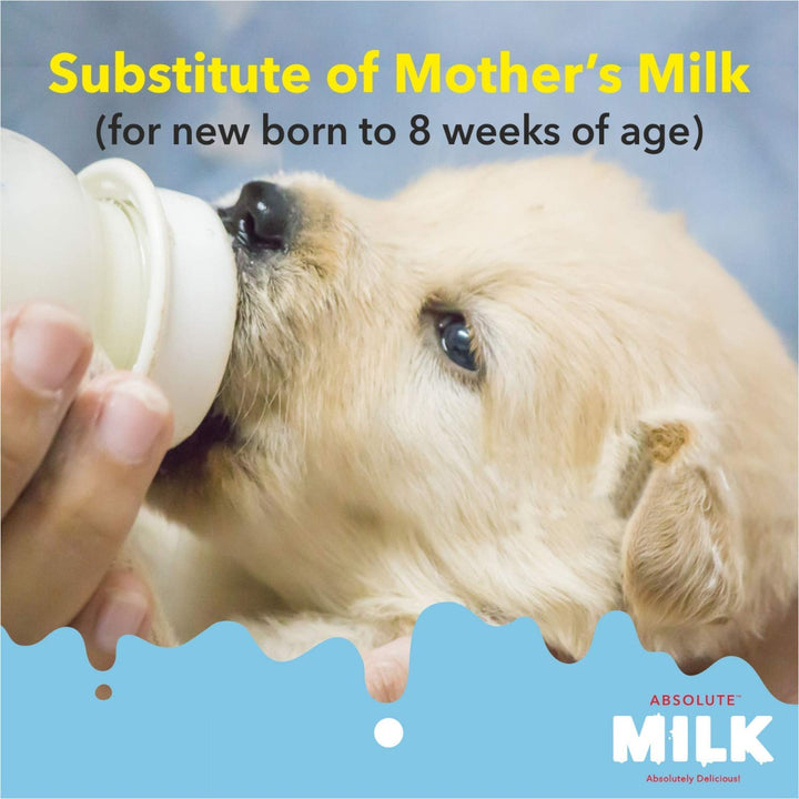 Drools Absolute Milk Weaning Puppy Food – 500g