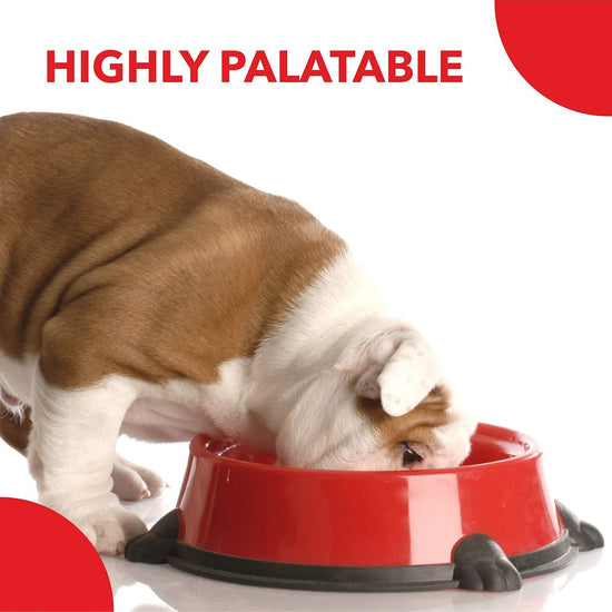drools-pup-booster-weaning-puppy-food-300g
