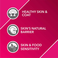 drools-absolute-skin-coat-syrup-supplement-for-dogs-300-ml