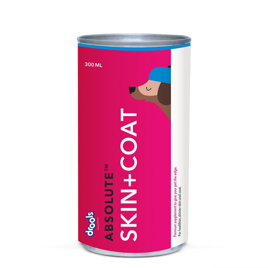 drools-absolute-skin-coat-syrup-supplement-for-dogs-300-ml