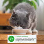 Inaba Dashi Delights Chicken Recipe Wet Cat Food