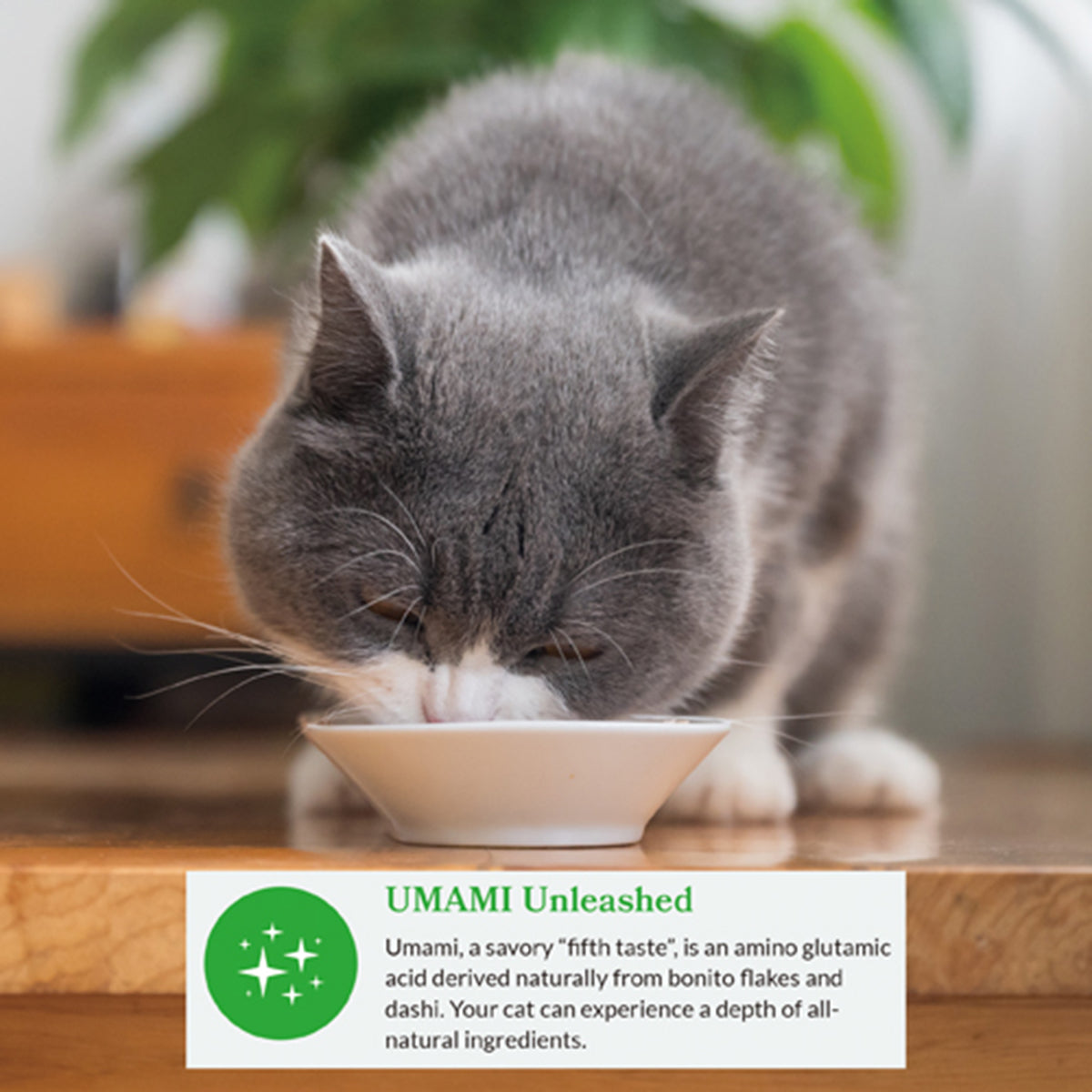 Inaba Dashi Delights Chicken Recipe Wet Cat Food