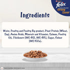Felix Gravy Lover Salmon Wet Cat Food - 70g
