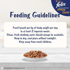 Felix Gravy Lover Salmon Wet Cat Food - 70g
