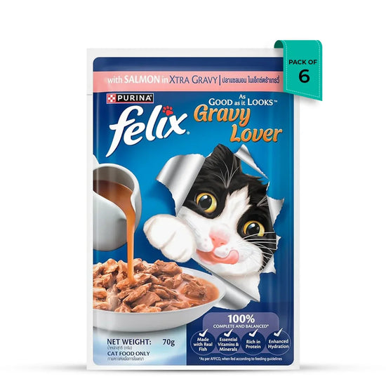 Felix Gravy Lover Salmon Wet Cat Food - 70g