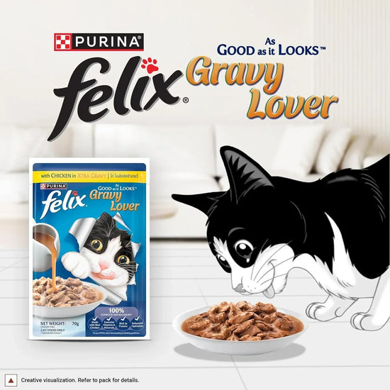 Felix Gravy Lover Chicken Wet Cat Food - 70g