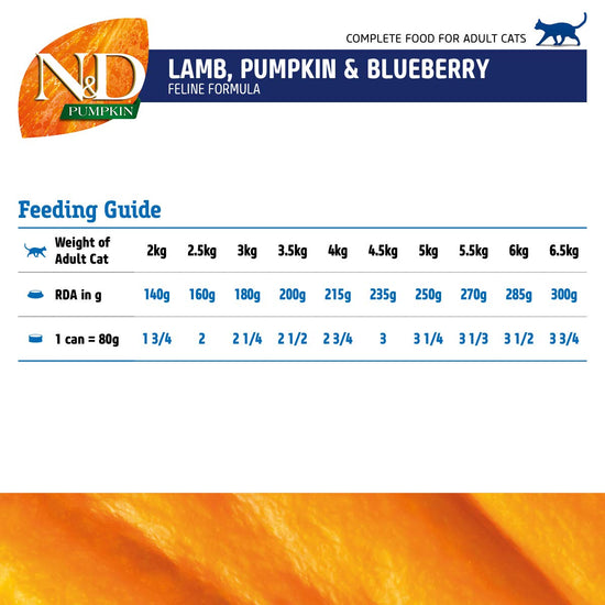 farmina-n-d-grain-free-pumpkin-lamb-blueberry-mini-breed-adult-wet-dog-food-140g