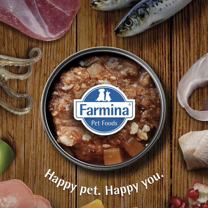 Farmina N&D Grain Free Pumpkin Lamb & Blueberry Medium & Maxi Breed Adult Wet Dog Food – 285g