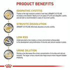 Royal Canin Veterinary Diet Urinary S/O Wet Cat Food