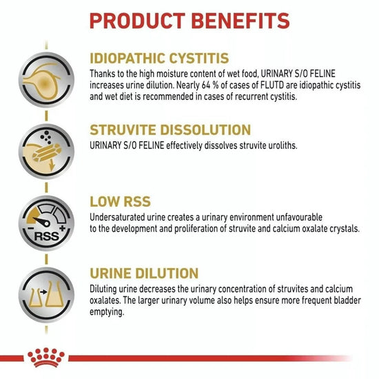 Royal Canin Veterinary Diet Urinary S/O Wet Cat Food - 85g