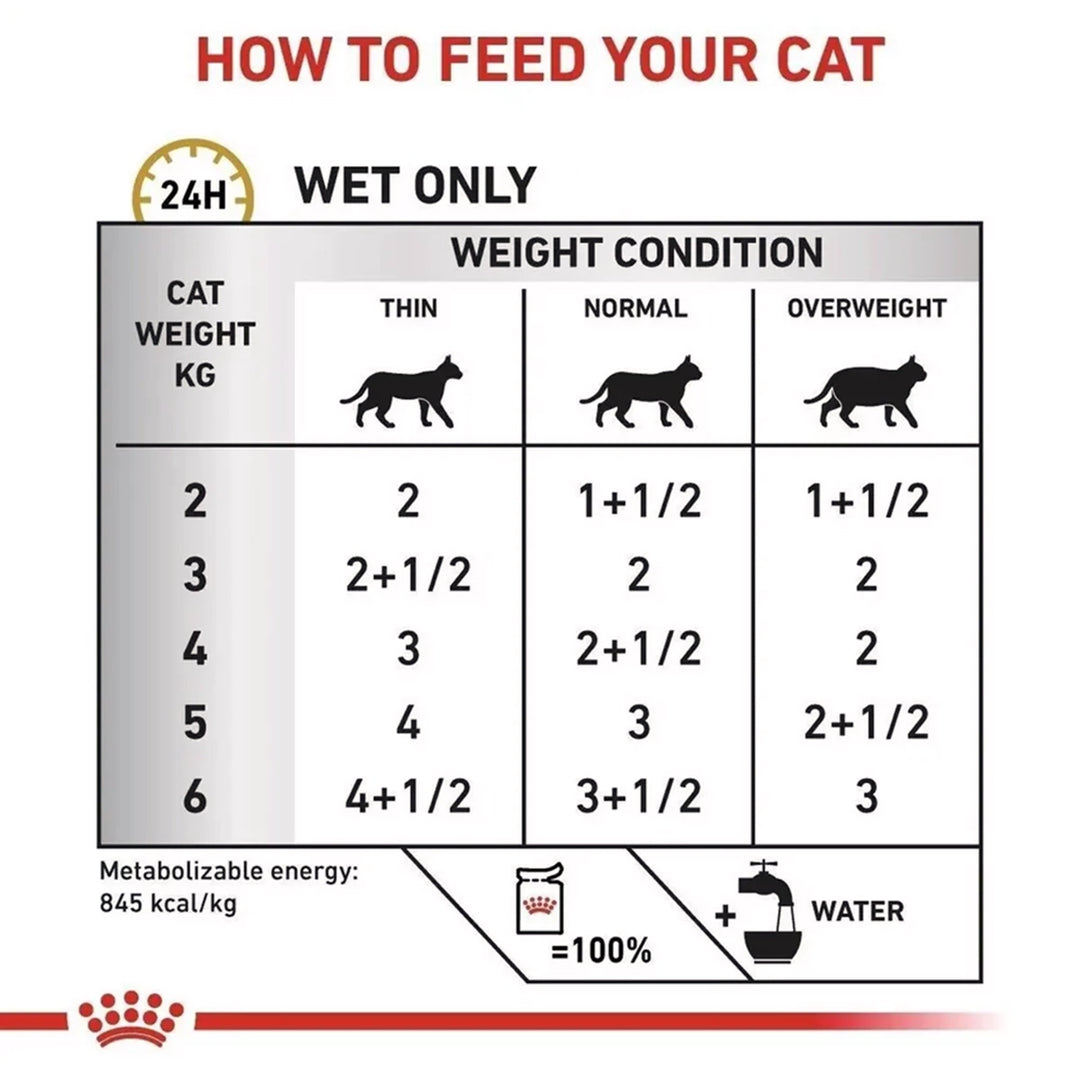 Royal Canin Veterinary Diet Urinary S/O Wet Cat Food - 85g